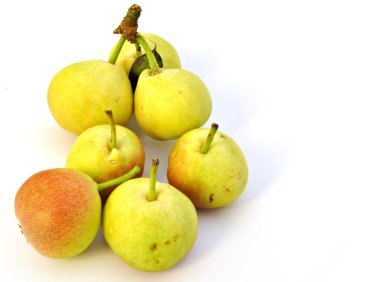 Several small pears clipart