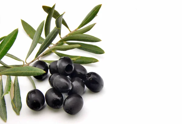 Aceitunas negras con hojas de olivo — Foto de Stock