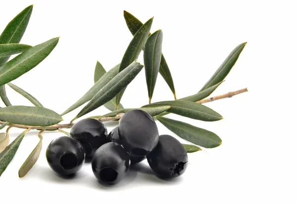 Чорні оливки з оливковим листям — стокове фото