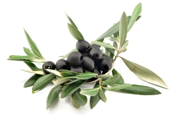 Aceitunas negras con hojas de olivo — Foto de Stock