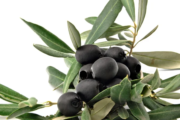 Azeitonas pretas com folhas de oliveira — Fotografia de Stock