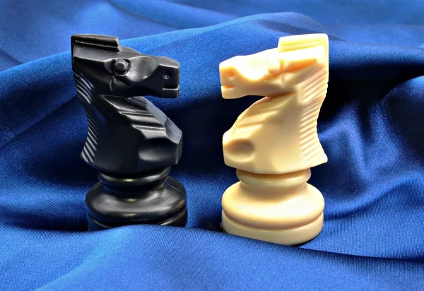 White and black knight — Stock Photo, Image