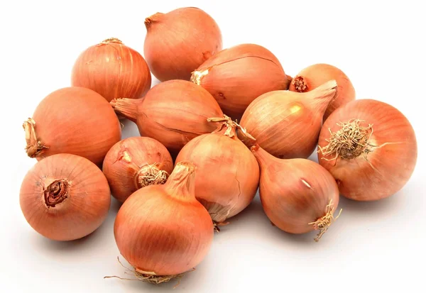 stock image Several onions