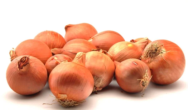 stock image Several onions