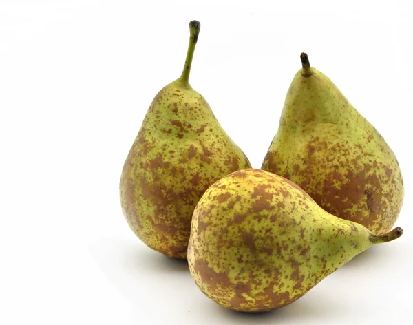 stock image Several pears