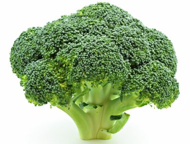 Several broccoli clipart