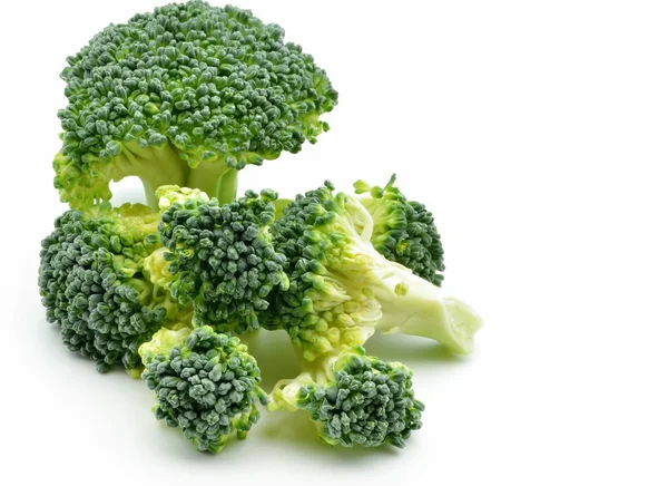 Several broccoli — Stock Photo, Image