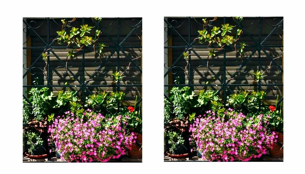 Due finestre — Foto Stock
