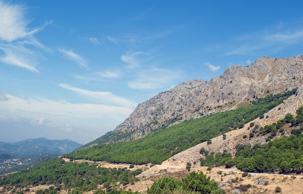 A massive landscape surrounded by trees, in the village of Grazalema in Spain