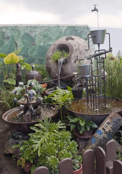Tuin met planten — Stockfoto