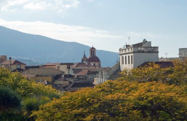 Orotava bahçeleri