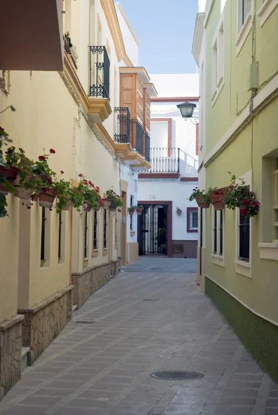 Calle estrecha con macetas — Foto de Stock