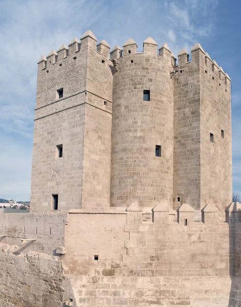 Mury zamku — Zdjęcie stockowe