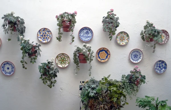 Diversi piatti di ceramica — Foto Stock