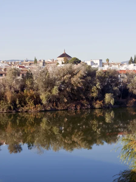 Vista de la ciudad de Córdoba — Foto de Stock