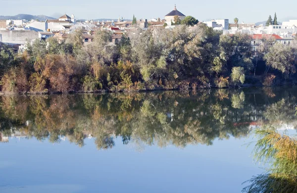 Vista de la ciudad de Córdoba —  Fotos de Stock