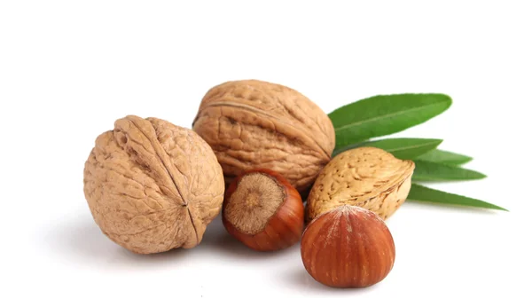 Walnuts, almonds and hazelnuts — Stock Photo, Image