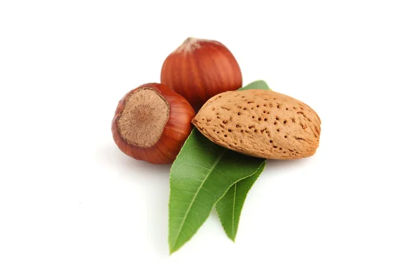 Almonds and hazelnuts — Stock Photo, Image