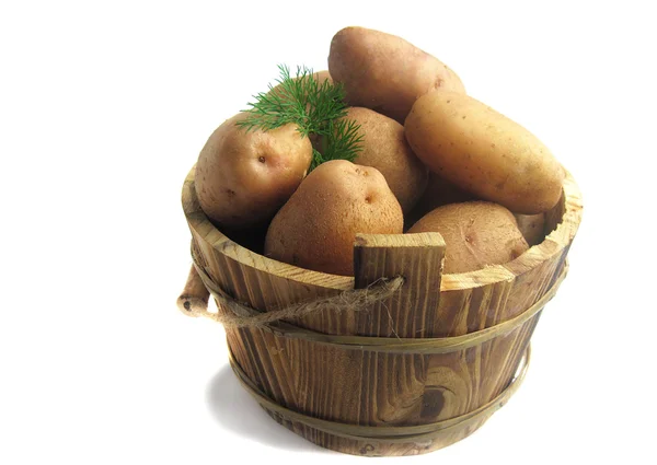 Batatas em um balde — Fotografia de Stock