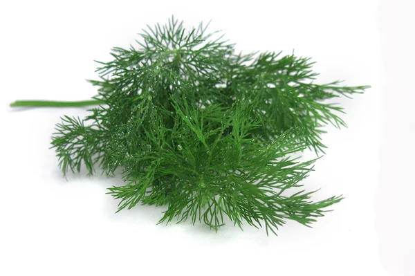 Dill on a white backgrond — Stock Photo, Image