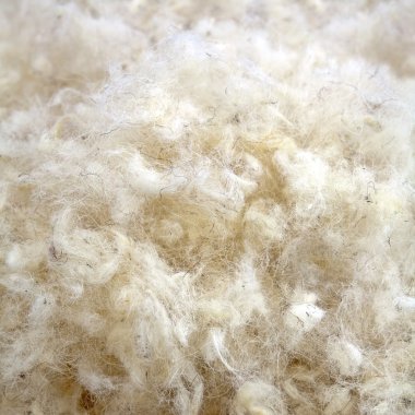 Raw Wool clipart
