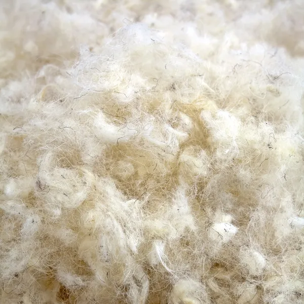 Lã em bruto — Fotografia de Stock