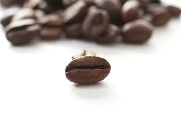 Einsame Kaffebohne — Stock fotografie