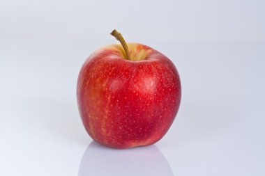 Der Apfel