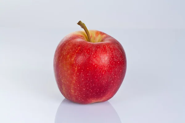 Der Apfel 免版税图库图片