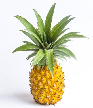 Fresh pineapple isolated clipart