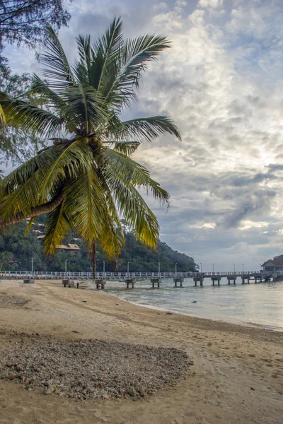 马来西亚刁曼岛 — 图库照片