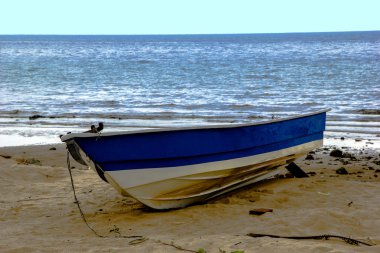 A boat on the beach clipart