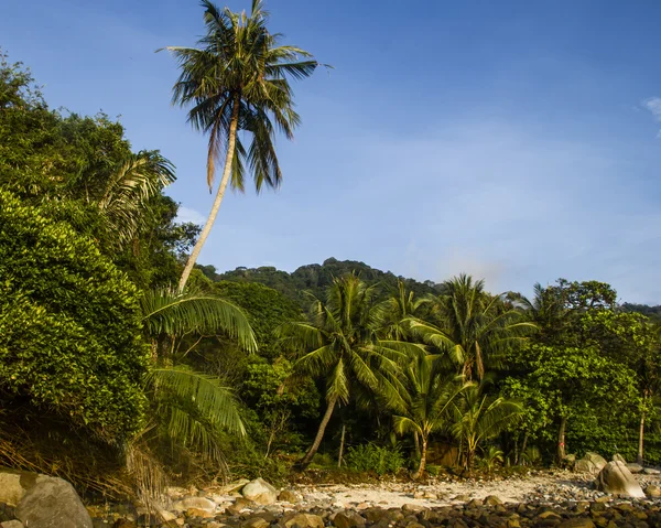 Tioman - ostrov — стоковое фото