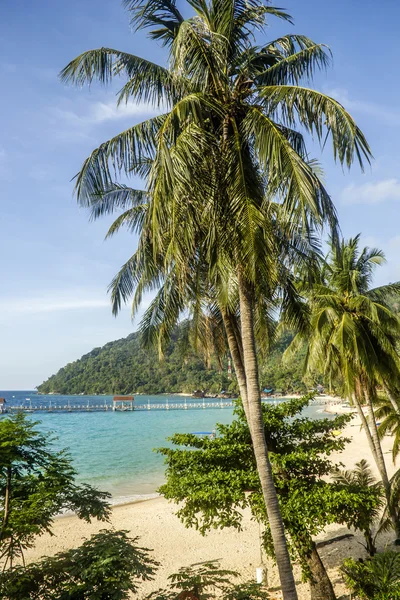 Tioman - isla paradisíaca — Foto de Stock