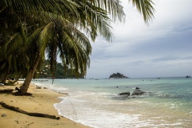 Tioman Adası