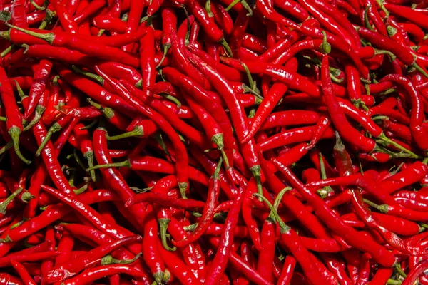 Red Hot chilli papričky — Stock fotografie