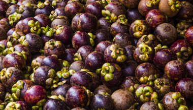 Mangosteens full frame clipart