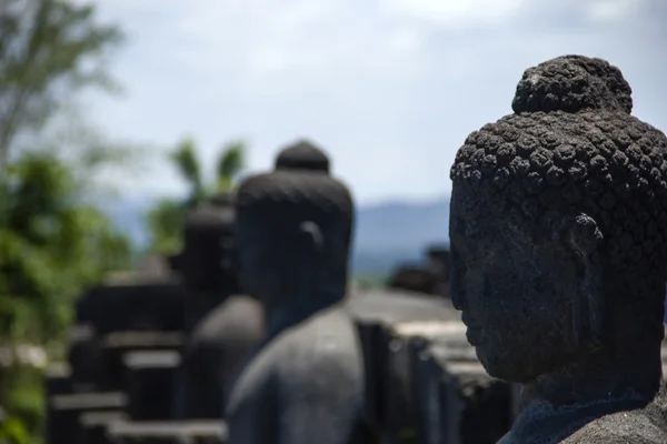 Buddhas-Köpfe im Borobodur-Tempel, Indonesien. — Stockfoto