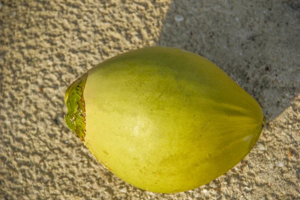 Mladý zelený kokos na písku — Stock fotografie