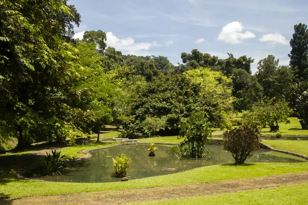 Ogród botaniczny w bogor, Indonezja — Zdjęcie stockowe
