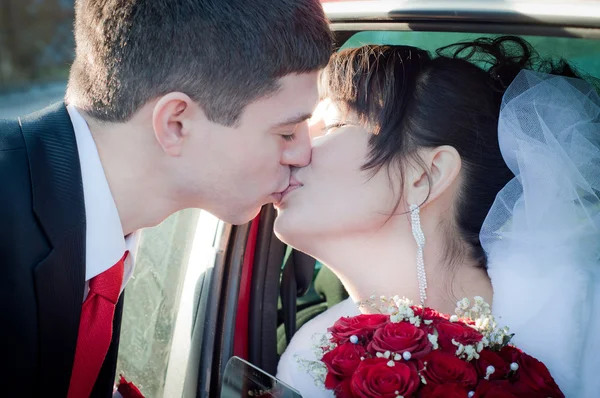 Newly-married couple — Stock Photo, Image