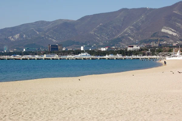 stock image Landscape on the bank of Black sea