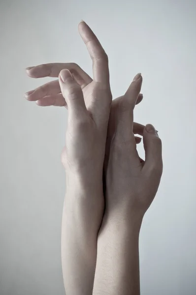 Dişi Eller — Stok fotoğraf