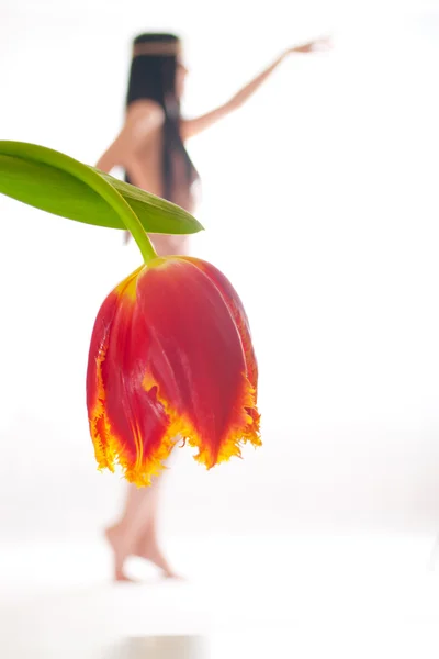 A menina nua em um fundo branco com uma tulipa em vez de um s — Fotografia de Stock