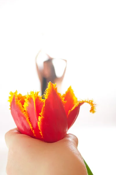 La ragazza nuda in danza con un tulipano in primo piano — Foto Stock