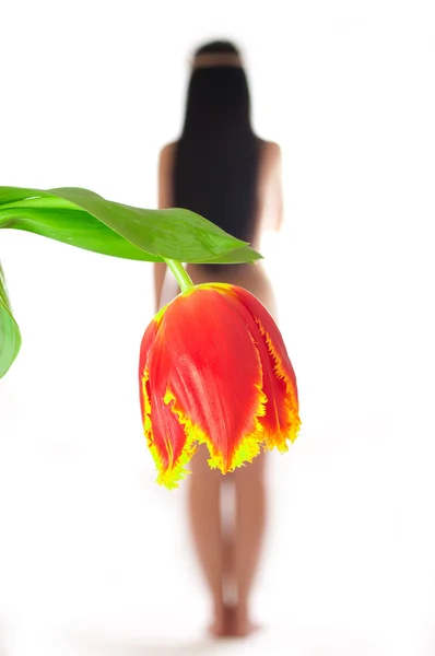 Das nackte Mädchen auf weißem Hintergrund mit einer Tulpe anstelle eines s — Stockfoto