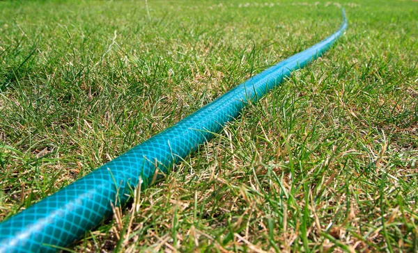 stock image Hose on a lawn