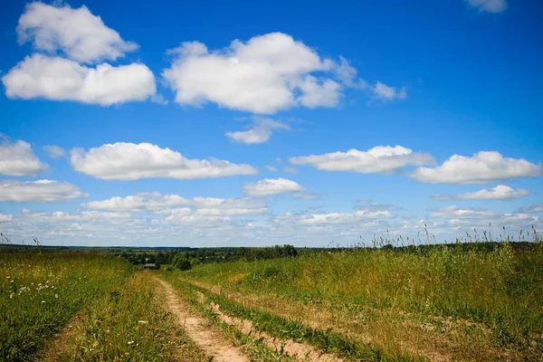 stock image Green field Landscape