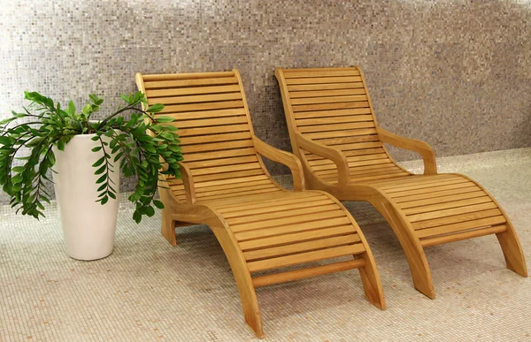 Deux chaises longues avec plante — Photo