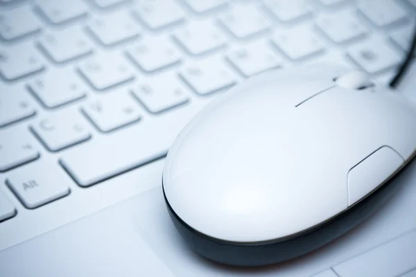 Mouse on the keyboard — Stock Photo, Image